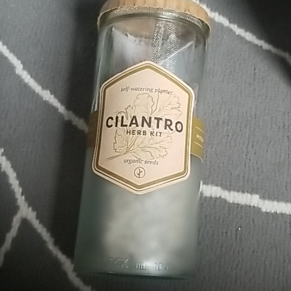 Anthropologie Self watering planter: Cilantro